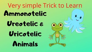 Trick to remember Ammonotelic Ureotelic and Uricotelic Animals  Excretion [upl. by Clovah]