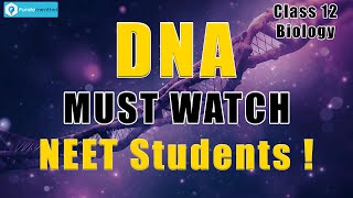 What is DNA for NEET students  Molecular Basis of Inheritance  Biology Class 12 [upl. by Adnoek]