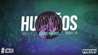 Huayños Mix  Dados Negros La Previa [upl. by Annairdua893]