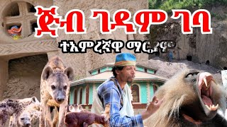 🔴ጅብ ገዳም ገባ አራዊት የአምላክን እናት አመሰገኑ፣ ኑ ሸክማችንን እናራግፍ💯❗❗❗ [upl. by Philine]