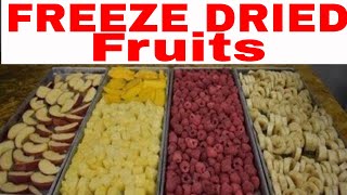 FREEZE DRIED FRUIT 🍍Pineapple 🍋Mango Raspberries 🍎Apple amp 🍌Banana [upl. by Ative189]