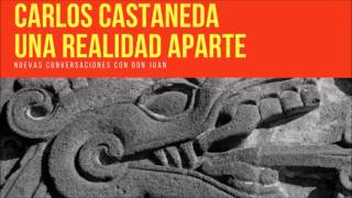 Una Realidad Aparte  Carlos Castaneda [upl. by Waddington994]