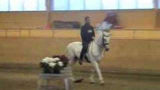 Working equitation training Paulo Bastos and Qualito [upl. by Valma878]