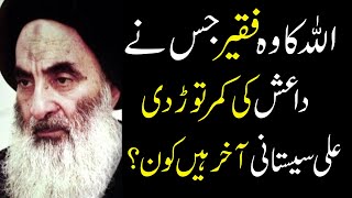 WHO IS GRAND AYATOLLAH ALI ALSISTANI آیت اللہ سید علی حسینی سیستانی کون ہیں  VIEWS MATTER [upl. by Ecydnac]