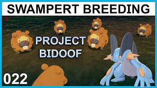 Breeding a Choice Band Swampert  Project Bidoof Part 22  Pokemon Breeding Guide [upl. by Nielsen]