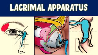 Lacrimal probing and syringing [upl. by Ecertap]