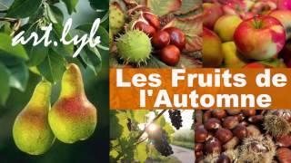 quotLes fruits de lautomnequot chanson artlyb25 [upl. by Courtland]