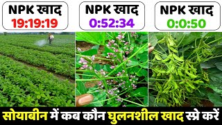 Soybean ki kheti NPK Grade Water soluble fertilizer 191919 05234 0050 how to use npk khad [upl. by Eicnahc]