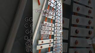 PARU PARONG BUKIDAWITING PAMBATALYRE XYLOPHONE COVER [upl. by Aikemal970]