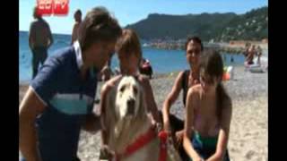 SPOTORNO  SPIAGGIA LIBERA ATTREZZATA PER I CANI [upl. by Ykroc629]