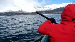 Winter Kayaking Caples Lake High Sierra [upl. by Dnomyar]