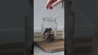 Making reishi tincture  shorts tincturemaking herbalremedies urbangardening mushroom [upl. by Ailsun]