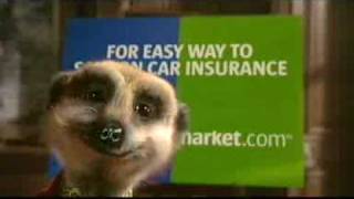 Official Compare the Meerkat Advert by Aleksandr Orlov [upl. by Januisz]