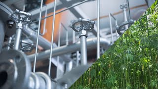 Can Hemp Cryomilling Transform Sustainable Energy and the Bioeconomy [upl. by Drusi]