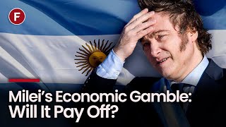 Will Dollarization Save Argentinas Economy [upl. by Sinai120]