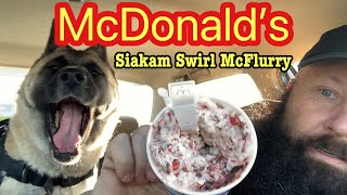 McDonald’s Siakam Swirl McFlurry…Limited Time… The Vanlife Review [upl. by Lleroj]