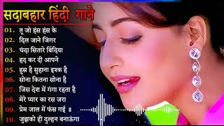 Hindi Gana🌹Sadabahar Song 💖हिंदी गाने 💔Purane Gane Mp3 💕Filmi Gaane अल्का याग्निक कुमार सानू गीत [upl. by Retsek]