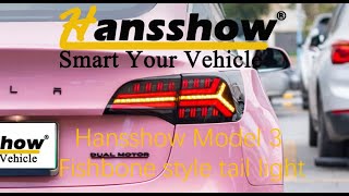 Hansshow Model 3 Fishbone Style Tail Light [upl. by Eleon]