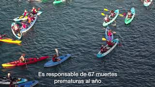 ¡ACCIÓN Accedemos al puerto de la central térmica de Endesa en Carboneras Almería [upl. by Nailil215]