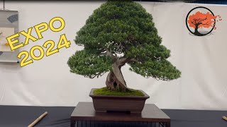 Expo 2024 Bonsai Show [upl. by Neerehs]