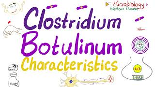 Clostridium botulinum Toxin Botox  Characteristics  Microbiology 🧫 amp Infectious Diseases 🦠 [upl. by Eelarac]