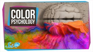 Does Color Really Affect How You Act [upl. by Stillas441]