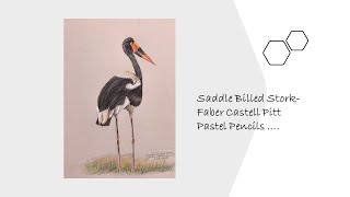 Faber Castell Pitt Pastel Pencils portrait of a Saddle Billed Stork [upl. by Eniamrahs]