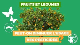 Fruits et légumes  peuton diminuer l’usage des pesticides [upl. by Anelad978]