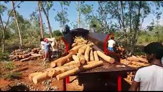 World‘s best quality Wood Log Debarking Machine for Debarking Agro Forestry Trees gf [upl. by Sunda]