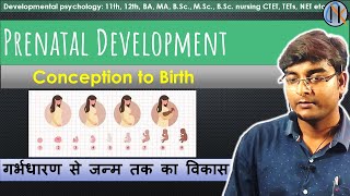 Prenatal Development from Conception to Birth  गर्भधारण से जन्म तक का विकास PrenatalDevelopment [upl. by Jordans218]