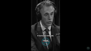 The Most AGGRESIVE physically POWERFUL people  They are all MEN  Jordan Peterson shorts [upl. by Acceb737]