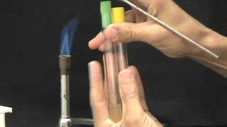 Flame Sterilization and Tube Transfer [upl. by Wetzell]