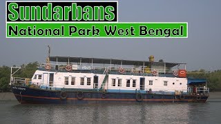 Sundarbans National Park West Bengal  All about journey on ship [upl. by Tiras]