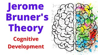 BRUNER Theory Of Cognitive Development  cognitive development theory by bruner [upl. by Coffey]