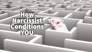 How Narcissist Conditions YOU [upl. by Africah]