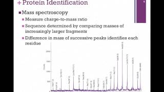 023Mass Spectroscopy [upl. by Spillar]