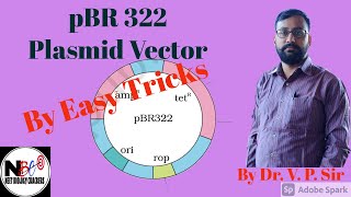 PBR322 plasmid Vector  Easy Trick Dr V P Sir Neetbiologycrackers [upl. by Haggar]