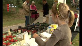 Zomermarkt Henschotermeer slecht bezocht [upl. by Nnyltiak]