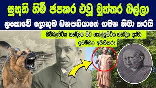 ලංකාවේ ලොකුම ධනපතියා චාල්ස් හෙන්රි ද සොයිසා ගුරුකමකින් අවසන් ගමන් ගියාද  wealthiest Ceylonese 90s [upl. by Nierman]