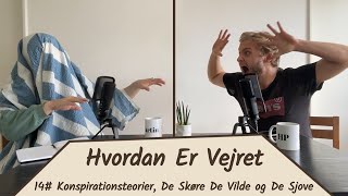 14 Konspirationsteorier De Skøre De Vilde og De Sjove  Hvordan Er Vejret [upl. by Henleigh]