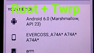 root easy evercroos [upl. by Alrahc]