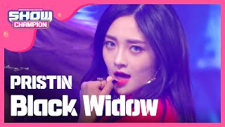 Show Champion 프리스틴  Black Widow PRISTIN  Black Widow l EP228 [upl. by Marylynne313]