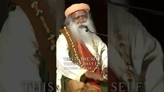 Are you thirsty sadhguru sadhguruwisdom worldneedssadhguru Sadhguruisback [upl. by Asinet606]