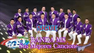 Banda MS Sigue 2013 [upl. by Ratcliff]