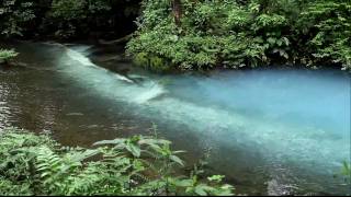 Rio Celeste Costa Rica  Where the rivers meet HD [upl. by Gnort]