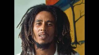 Bob Marley amp The Wailers  Rastaman Live Up single [upl. by Einnil]