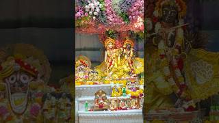 Hare Krishna trending janmashtami harekrishna radhe 26august viralvideo shorts celebration [upl. by Taryn484]