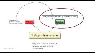 56  Sistema immunitario Riassunto e schema per il test di medicina [upl. by Peterus]