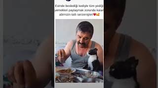 Kedi full yemek yedi o kadar çok yedi ki maşallah helpstrays ask kedi savethestrays animals 🤗🤗🥰 [upl. by Arykahs63]