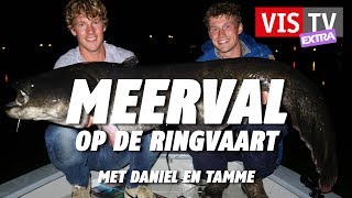 VIS TV Extra 47  Meerval [upl. by Errecart]